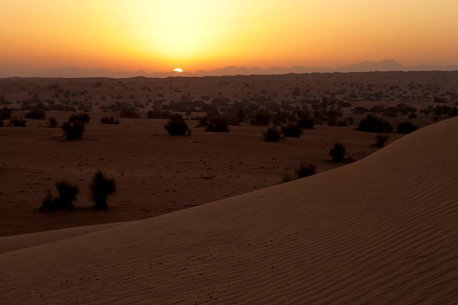 Dubai Desert - Emirats Arabes Unis © Gerry O' Leary