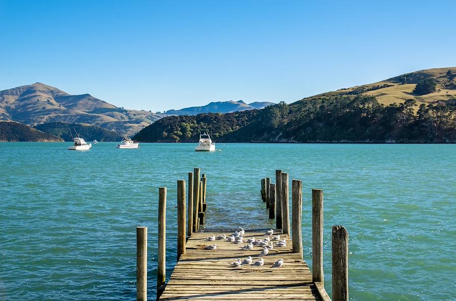 Akaroa - Ile du Sud - Nouvelle-Zélande © gracethang/Fotolia