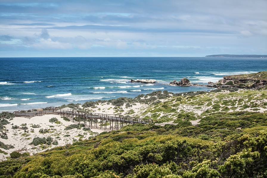 Ile de Kangourou - Australie-Méridionale - Australie © Julie Saint-Bonnet