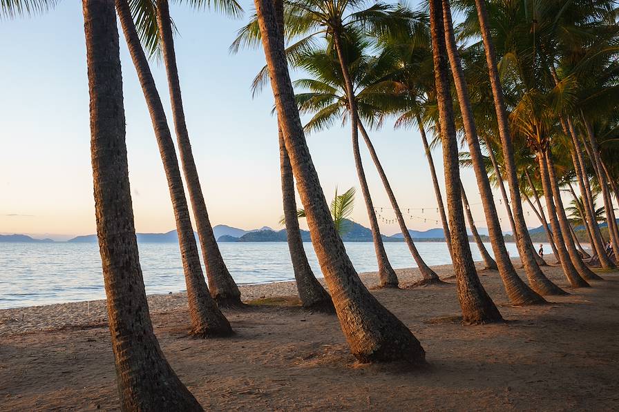 Palm Cove - Queensland - Australie © Rowan/stock.adobe.com