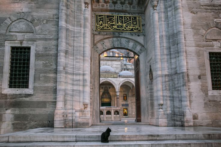 Mosquée Süleymaniye - Istanbul - Turquie © LightFieldStudios/Getty Images/iStockphoto