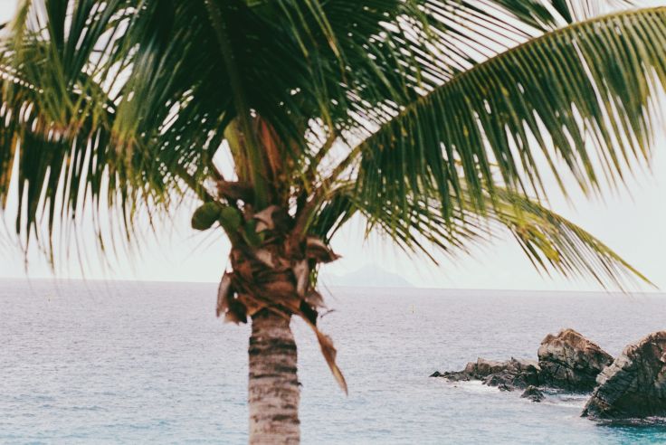 Saint-Barthélemy © Faustine Poidevin