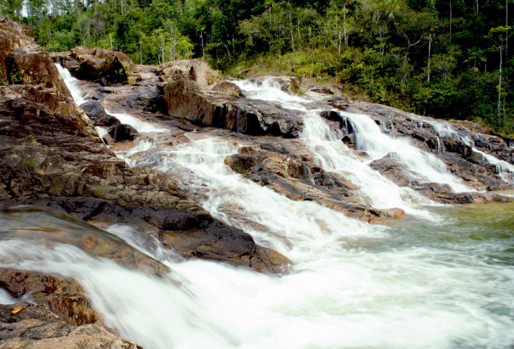 Mountain Pine Ridge - Belize © Droits reservés