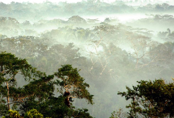 Mountain Pine Ridge - Belize © Droits reservés