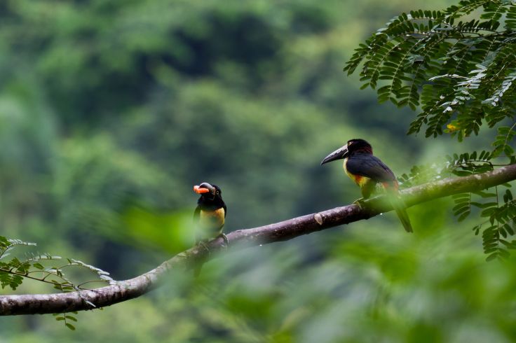 Belize © wollertz/Fotolia