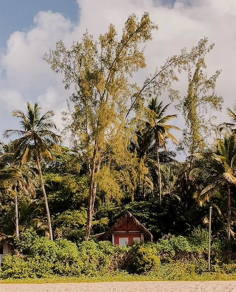 Ile de Boipeba - Bahia - Brésil © Alix Pardo