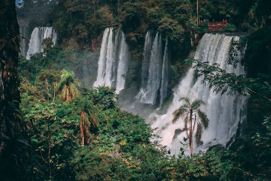 Chutes Iguazu - Brésil © Jonatan Lewczuk / Unsplash