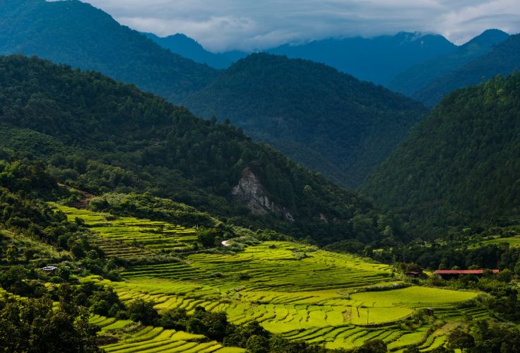 Punakha - Bhutan © Droits reservés