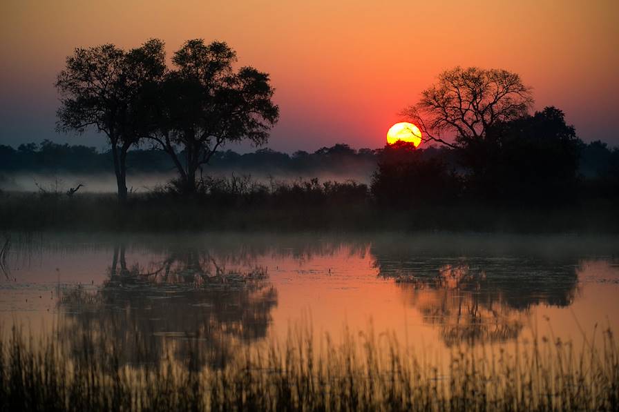 Delta de l'Okavango - Botswana © Wilderness Safaris