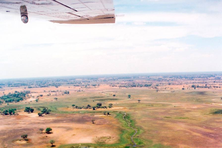 Delta du fleuve Okavango - Botswana © Andreas Hub/LAIF-REA