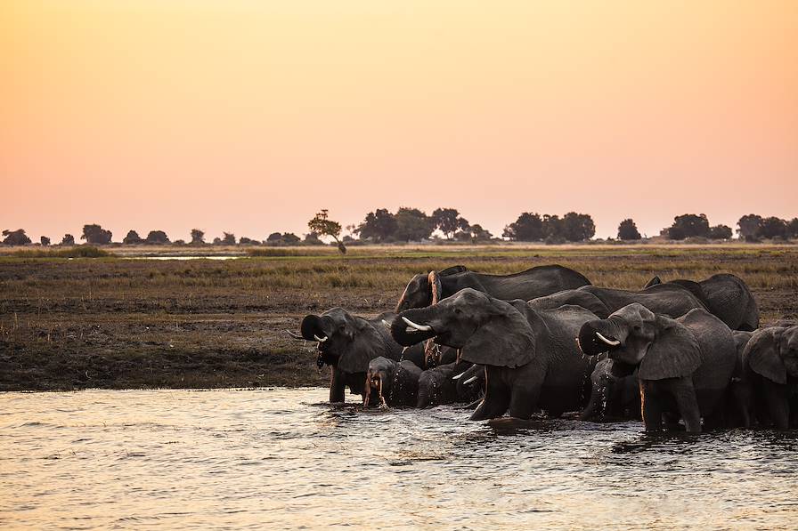 Botswana © 2630ben/Getty Images/iStockphoto