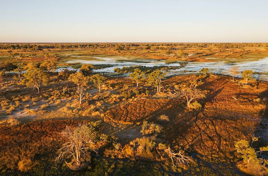 Moremi  - Botswana © imageBROKER/stock.adobe.com