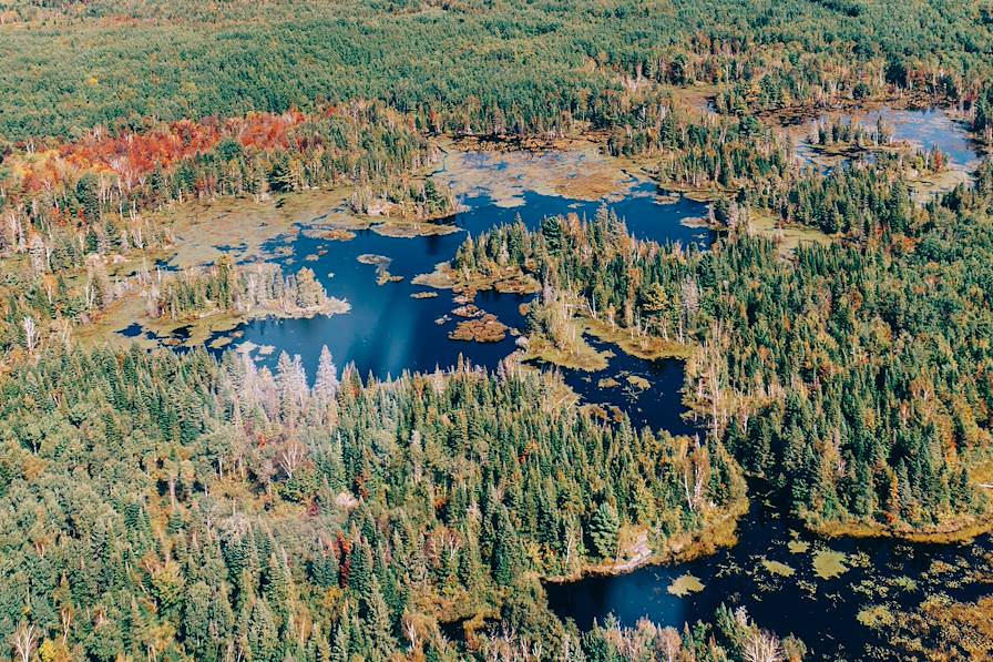 Parc national de la Mauricie - Québec - Canada © Olivier Romano