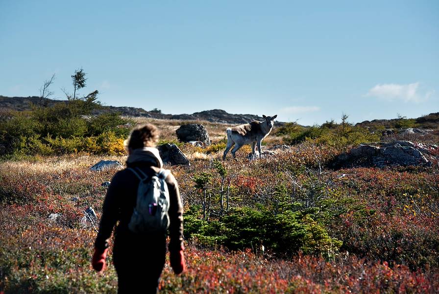 Fogo Island - Canada © Alex Fradkin