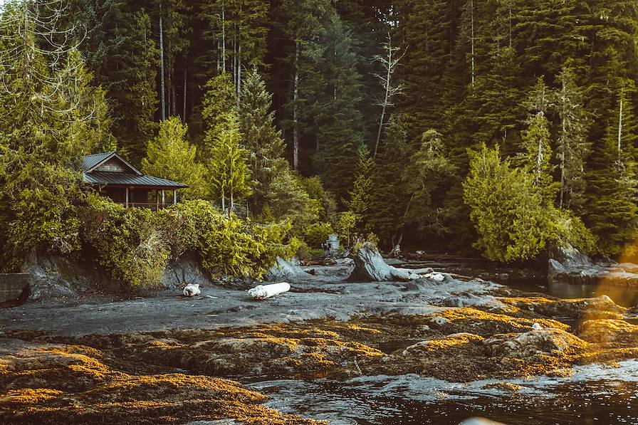 Port Renfrew - Canada © Droits reservés