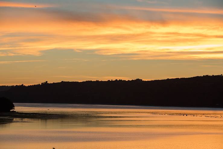 Chiloé - Région des Lacs - Chili © Alix Pardo