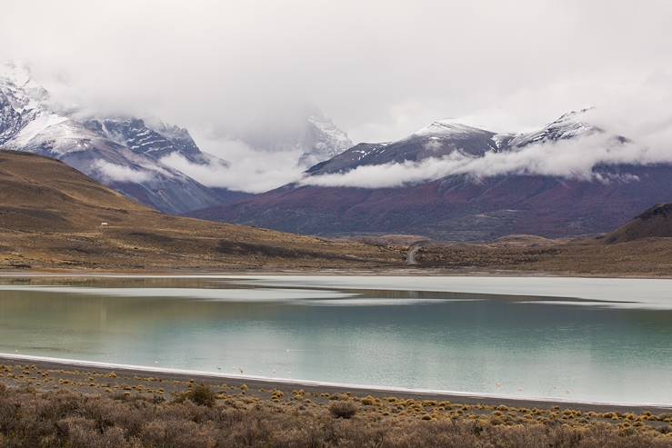 Laguna Amarga - Parc national Torres del Paine - Patagonie - Chili © Alix Pardo