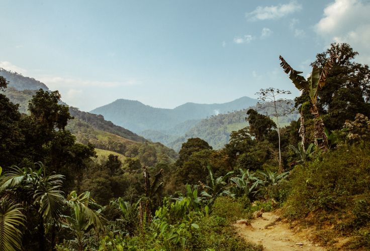 Colombie © Brian Flaherty