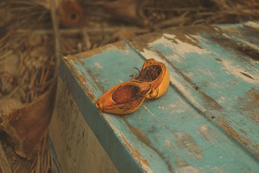 Costa Rica © Valentine Dreyfus / Hauser