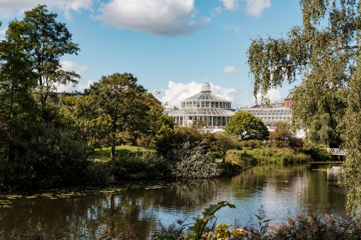 Serre - Jardin Botanique - Copenhague - Danemark © Juliette ROBERT/HAYTHAM-REA