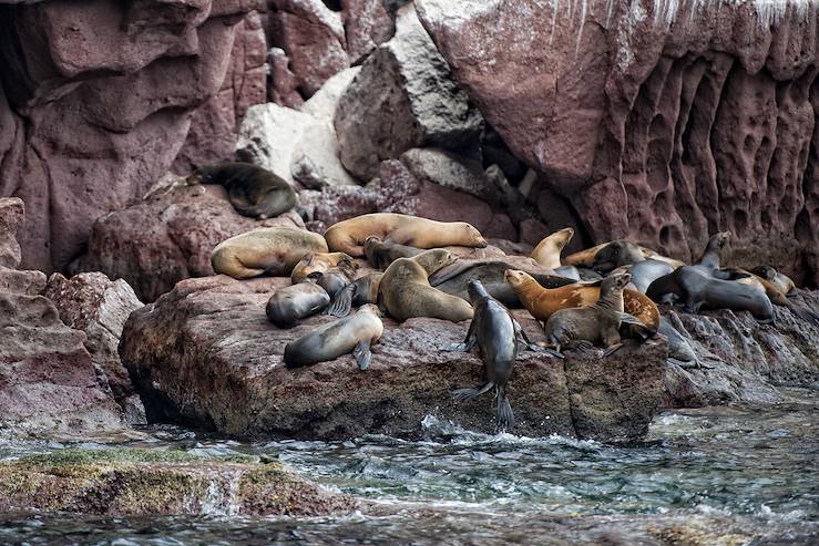 Galapagos - Equateur © Andrea Izzotti / Fotolia