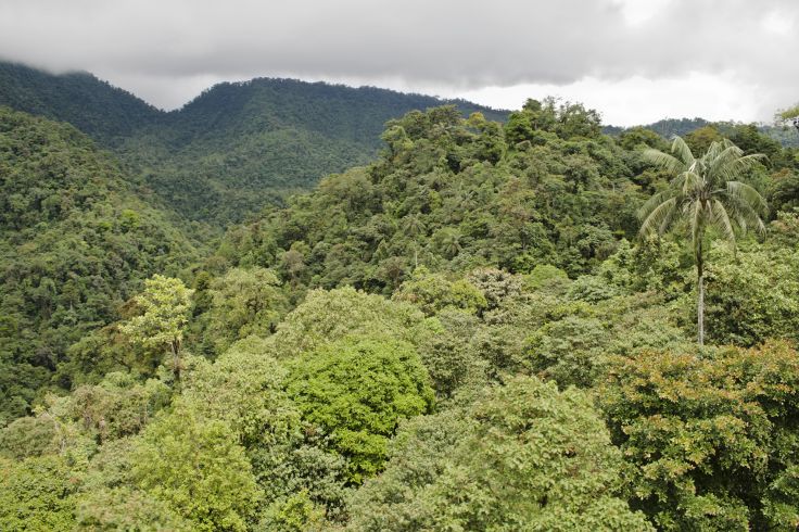 Mindo - Equateur © Michael Gray/Getty Images