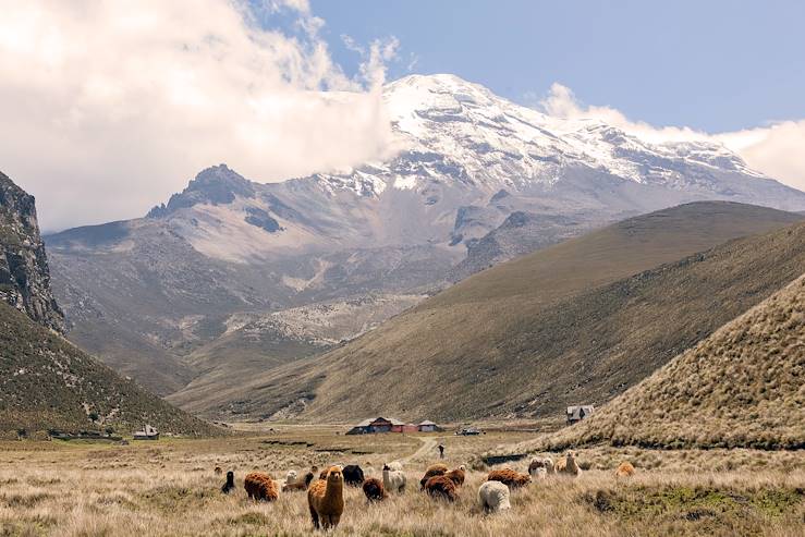 Chimborazo - Equateur  © kalypsoworldphotography/Fotolia