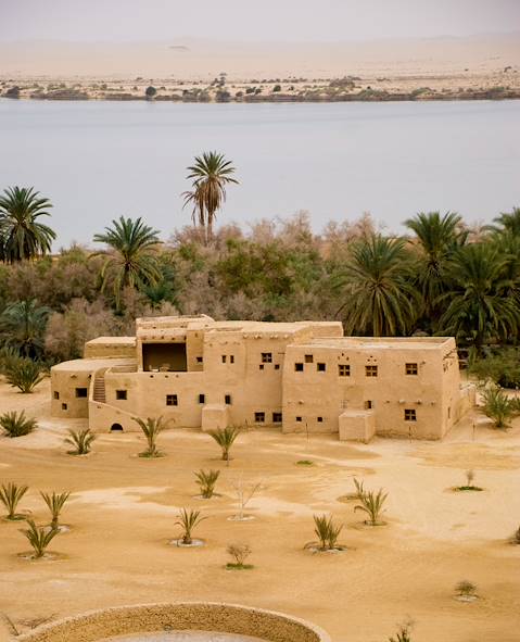 Siwa Oasis - Egypte © Droits Réservés