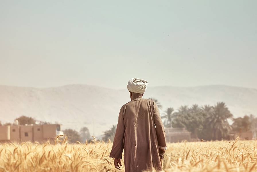 Vallée des Rois - Egypte © Olivier Metzger