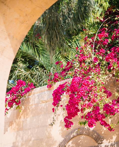 Le Caire - Egypte © Charlotte Harrison / Unsplash