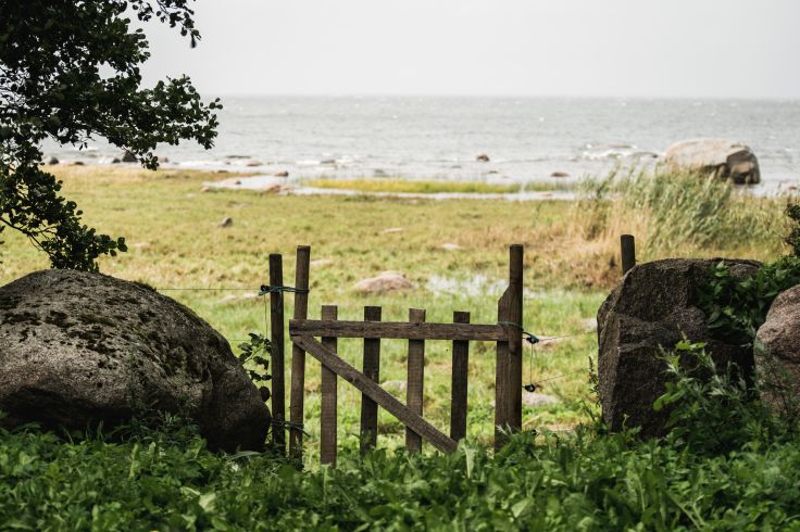 Laheema National Park - Estonie © Priidu Saart / VisitEstonia