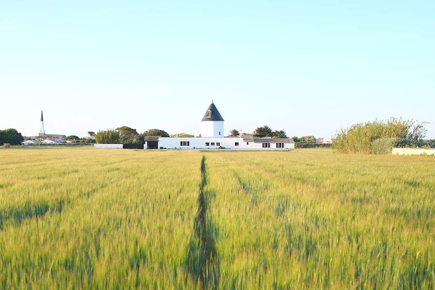 Ile de Ré - France © Droits Réservés