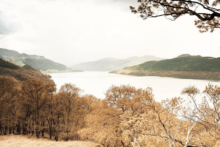 Loch Lomond - Ecosse - Royaume Uni © Radek Sturgolewski/Fotolia