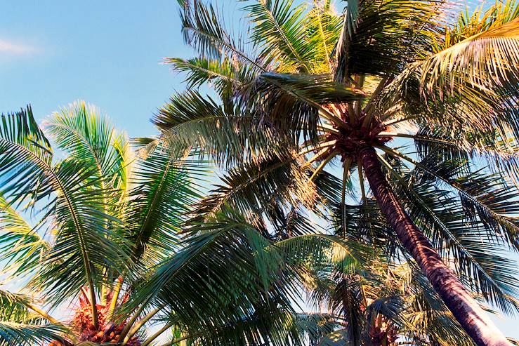 Le Moule - Guadeloupe © Gerhard Westrich/LAIF-REA