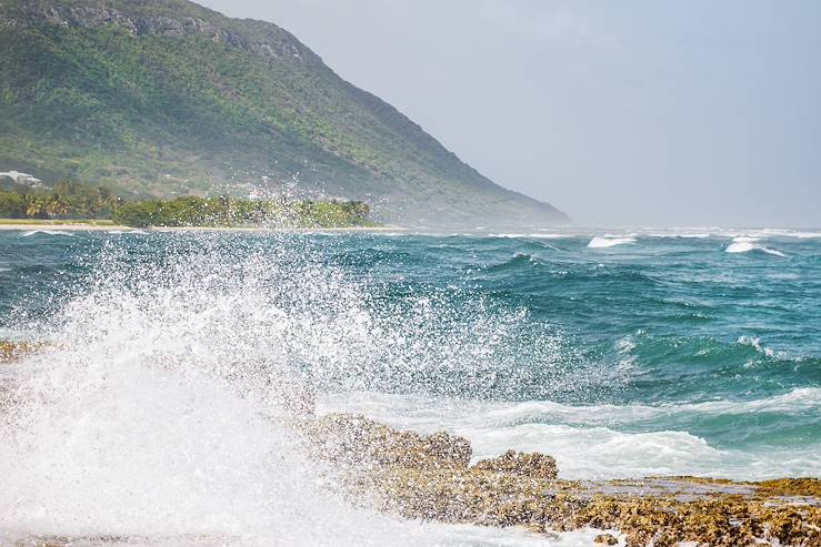 La Désirade - Guadeloupe © Dagmar SCHWELLE/LAIF-REA