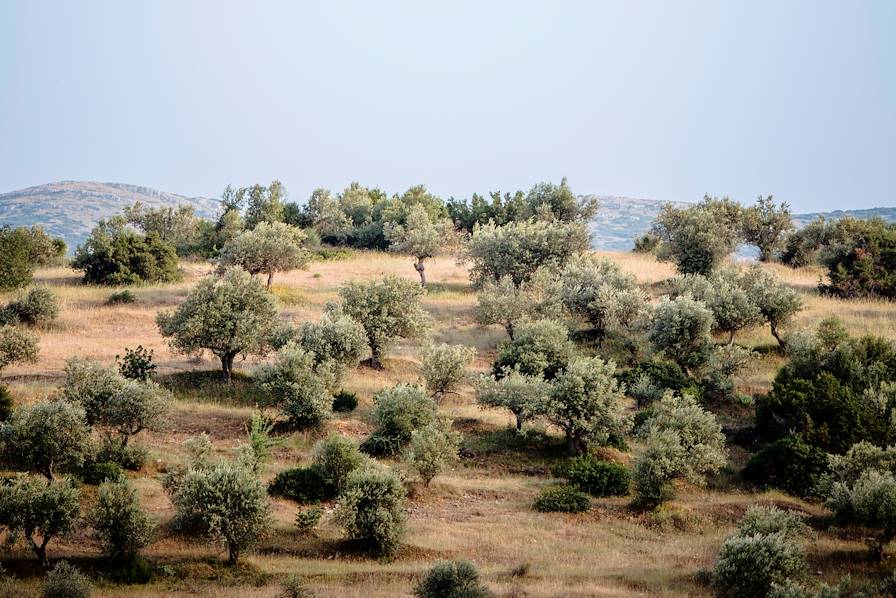 Amorgos - Grèce © Dagmar Schwelle/LAIF-REA