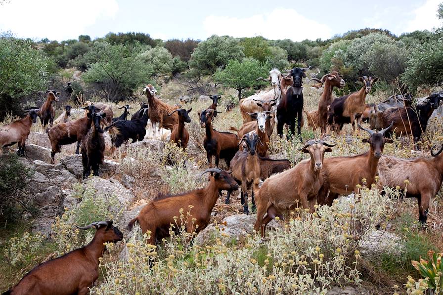 Grèce © Valentine Vermeil/REA