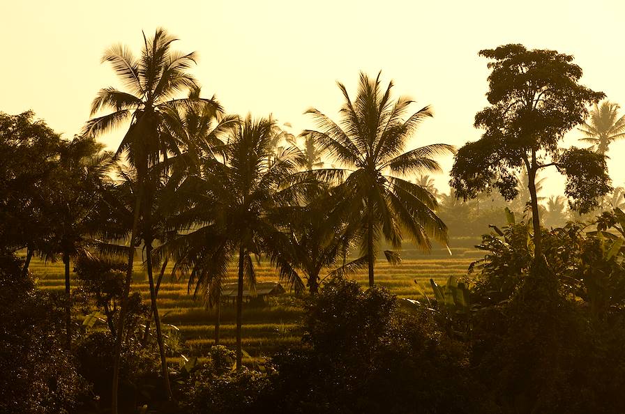 Ubud - Bali - Indonésie © Martin Morrell