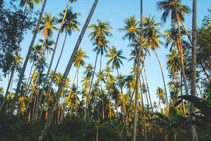 Île de Bunaken - Sulawesi - Indonésié © John Crux/iStock/Getty Images Plus