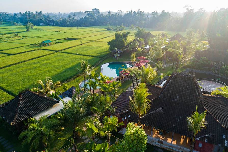 Ubud - Indonésie © Droits Réservés