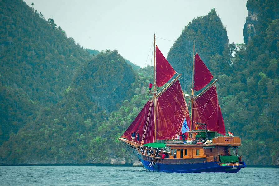 Tiger Blue - Archipel des Raja Ampat - Indonésie © Tiger Blue