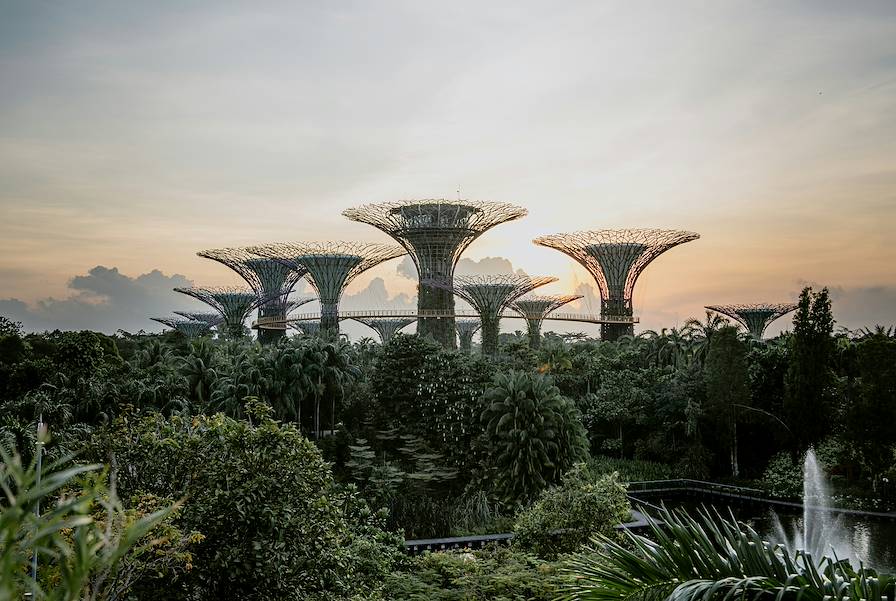 Gardens by the Bay - Singapour © Isaac / Unsplash.com