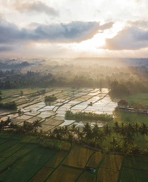 Ubud - Bali - Indonésie © Valeriy Labushkin / Unsplash.com