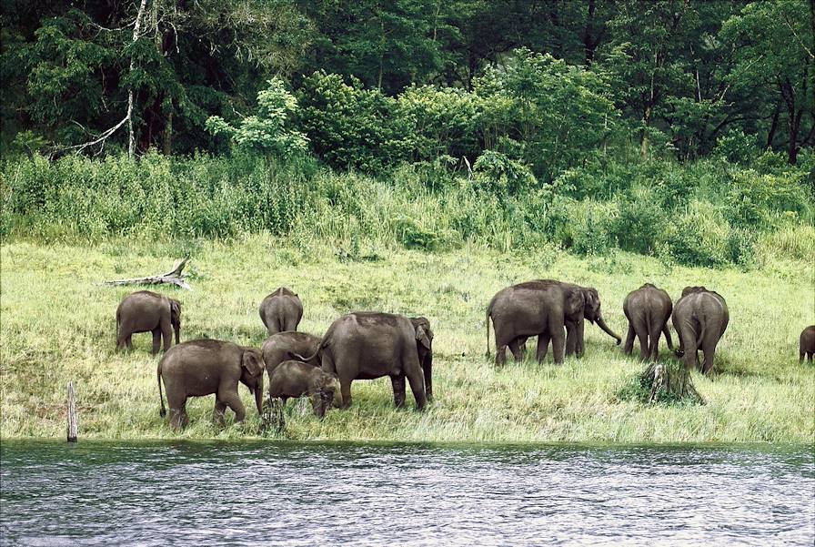 Parc de Periyar © Incredible India