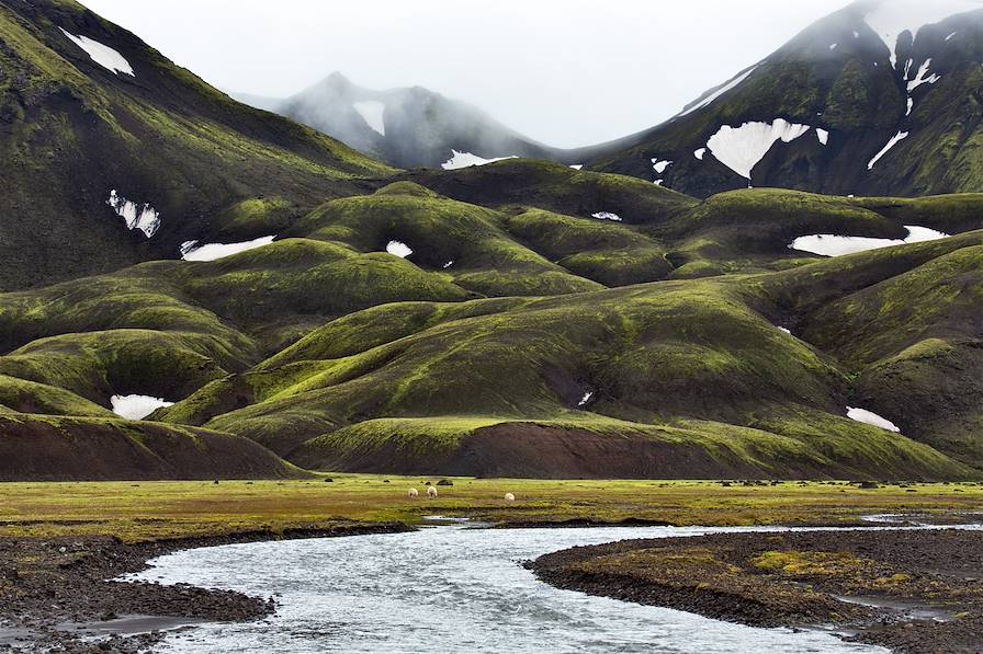 Landmannalaugar - Islande © mariobono/Getty Images/iStockphoto