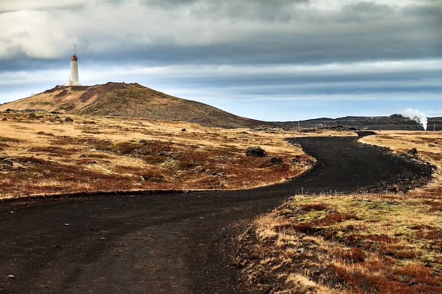 péninsule de Reykjanes - Islande © dennisvdwater - stock.adobe.com