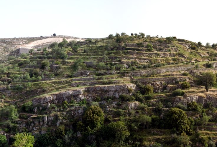 Bethleem - Palestine © François Faisans