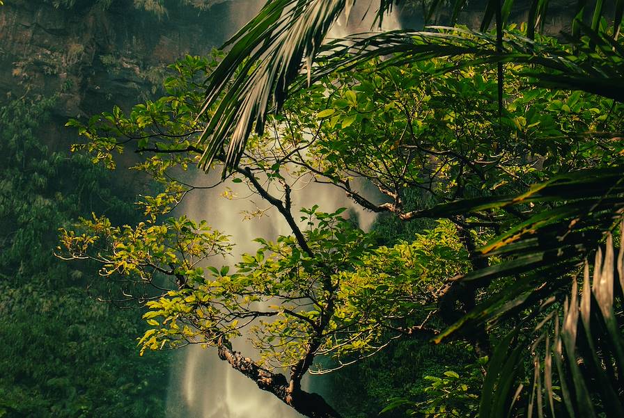 Iriomote - Okinawa - Japon © Romain Laprade