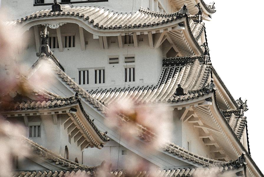 Chateau d'Himeji, Kyoto © Victor Pot/Unsplash