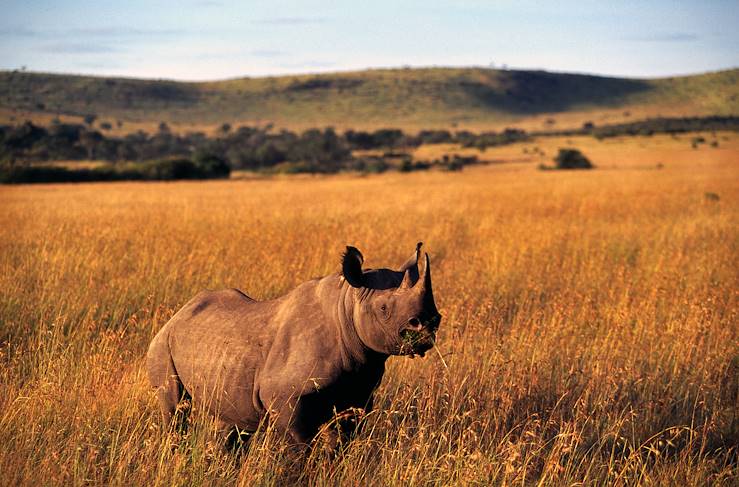 Réserve du Massai Mara -  Kenya © Kenya Tourist Board OT